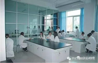 我的教育情懷 西安生物醫(yī)藥技術(shù)學(xué)院發(fā)展規(guī)劃與生物技術(shù)開發(fā)
